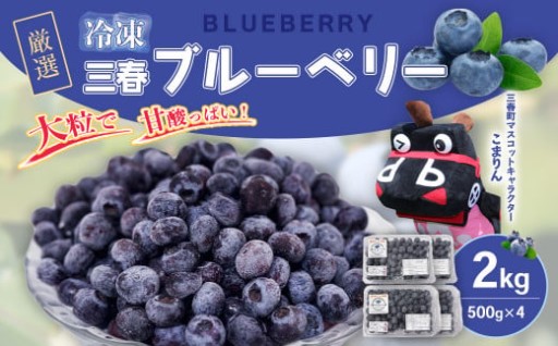 三春冷凍ブルーベリー 500g×4パック／計2kg 