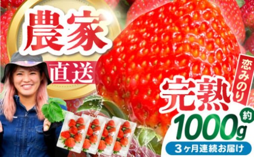 南島原の極上いちご「恋みのり」定期便 / あゆみfarm