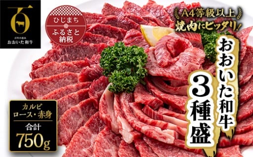 【おおいた和牛】焼肉にピッタリ！牛肉の3種盛(カルビ・ロース・赤身)　(合計750g)
