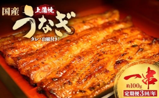 【3回定期便】うなぎ上蒲焼1串(100g前後)
