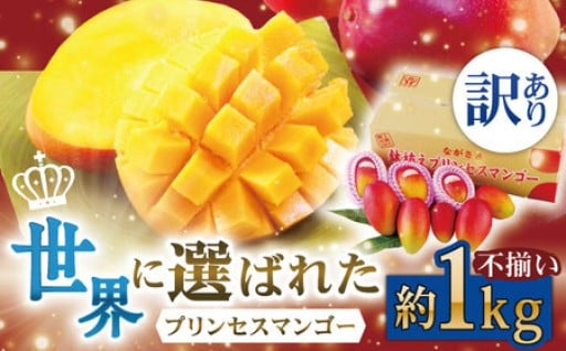 【20件限定！】完熟プレミアム　プリンセスマンゴー　受付再開！