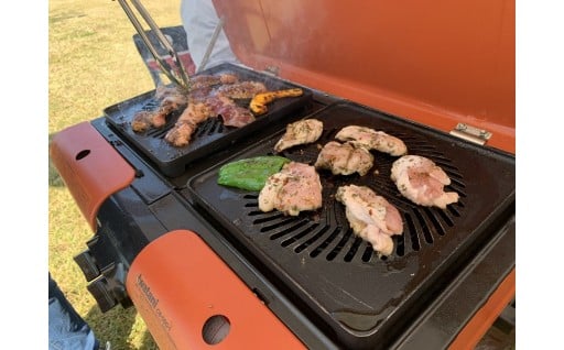 川の駅伊豆城山BBQ利用券（機材レンタル込）