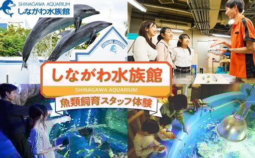 🐡しながわ水族館魚類飼育スタッフ体験🐬