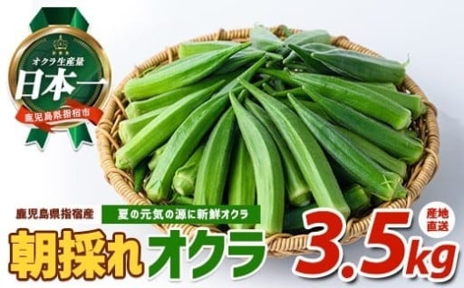 夏バテ予防に！朝採れ新鮮オクラ☀️