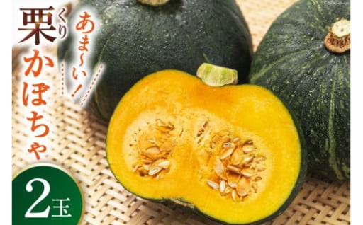 甘くてほくほく 野菜農園から直送 致します！