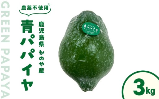 農薬不使用‼️鹿屋市産青パパイヤのご紹介💁‍♀️