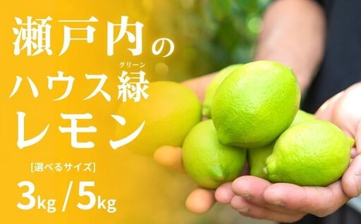8月～9月発送！ハウスグリーンレモン