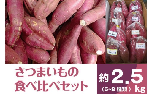 【2025年11月より順次発送】2025年度産 いろんなさつまいも食べ比べセット 約2.5kg(5～8品種)
