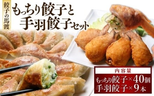 餃子の馬渡馬渡のもっちり餃子40個と手羽餃子9本セット