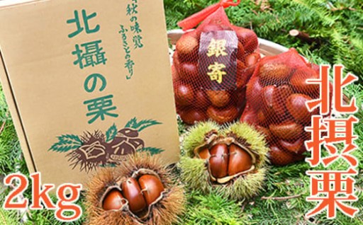 【数量限定】今年も川西特産『北摂栗』の受付開始