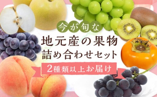 旬の果物 詰め合わせ セット