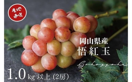 厳選 悟紅玉 旧ゴルビー 2房 合計1.0kg以上