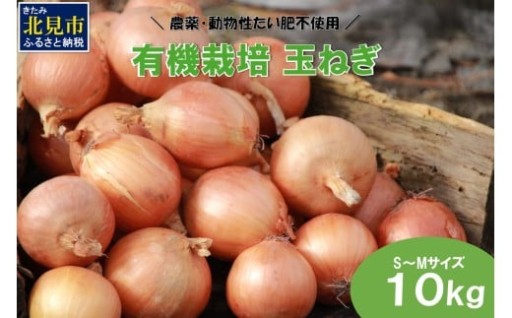 万能野菜の玉ねぎはいかがですか？🧅