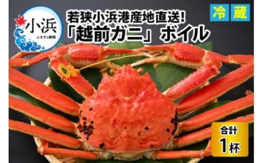 ＼身も味噌もぎっしり詰まった贅沢／若狭小浜直送 越前がにボイル1杯