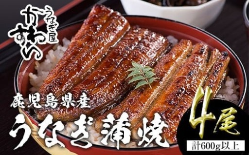 鹿児島県産 国産うなぎ蒲焼