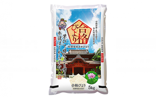 【15年連続 特A評価】令和6年産 さがびより 縁起米  合格びより 精米 5kg×2袋 計10kg