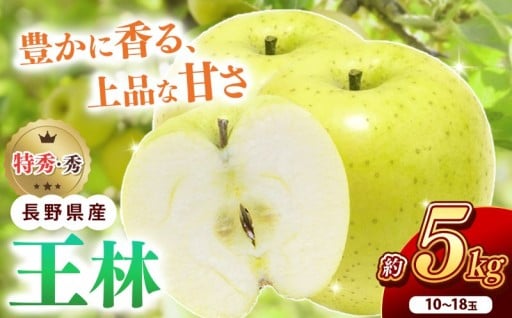南信州産 王林 約5kg 秀品 10～18玉