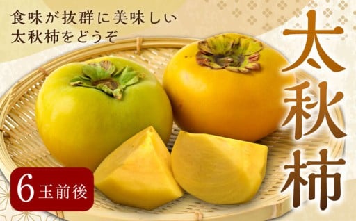 渡辺農園 太秋柿 6玉前後