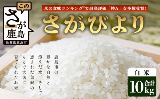 【鹿島市産】＼生産者直送／ さがびより 白米10kg　D-250