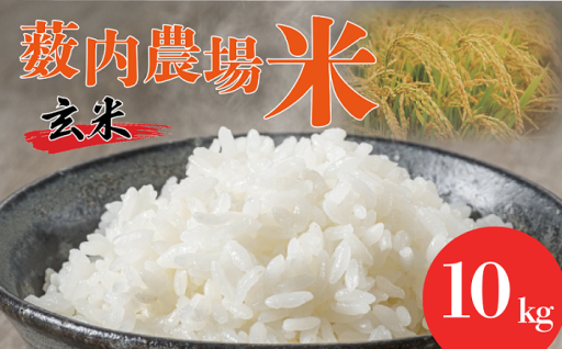 【先行予約】薮内農場米（コシヒカリ）10kg 玄米 募集中！