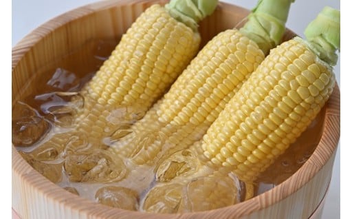 八ヶ岳産生とうもろこし！好評受付中です！