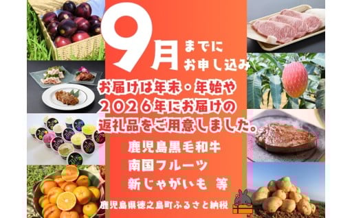 ９月末までに決済！お届けは年末や来年の返礼品特集