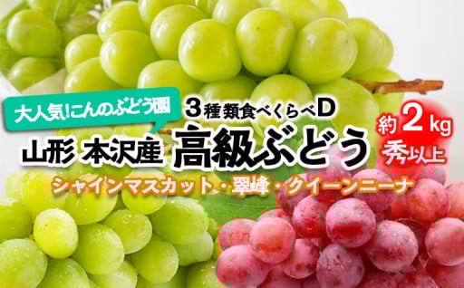 大人気！山形本沢産 高級ぶどう 3種食べくらべD