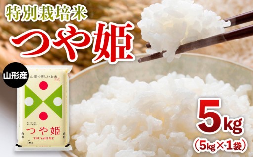 【限定数】令和6年産 山形産 つや姫 5kg