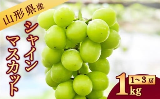 《山形県産》 新鮮 シャインマスカット 1kg