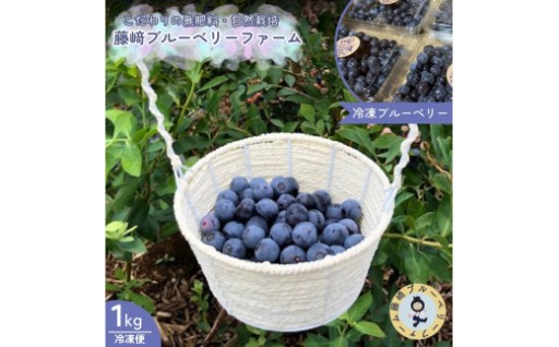 摘みたての美味しさをキュッと冷凍！国産ブルーベリー