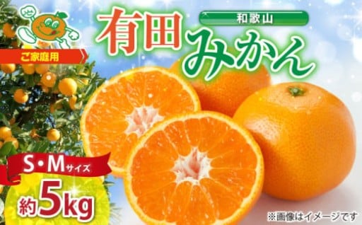 【2025年先行予約】ご家庭用　和歌山 有田みかん 約5kg (S、Mサイズ)【湯浅町】