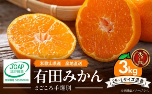 【2025年先行予約】【2025年11月発送】和歌山県産 有田みかん 3kg (2S～Lサイズ混合)