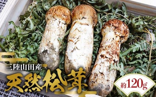 【先行予約受付中】三陸山田産松茸約120g（9月中旬～10月下旬発送予定）