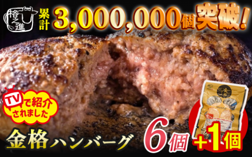 ＼大人気／格之進《金格ハンバーグ》6個がプラス1個付の合計7個！