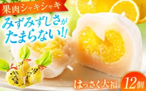 シャキシャキ感がたまらない“はっさく大福”