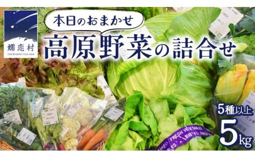 【新登場】おまかせ 高原野菜の詰め合わせ