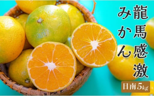酸味と甘みが絶妙！爽やかな香りの「龍馬感激みかん（日南）」🍊