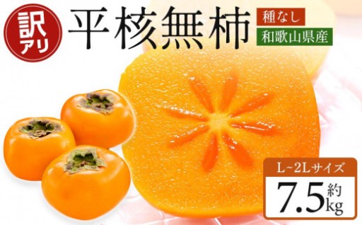 【2025年10月上旬～発送】和歌山県産 訳あり 平核無柿 7.5kg L ~ 2L サイズ