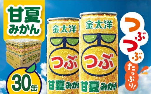 果肉たっぷり！金太洋の甘夏みかん30缶