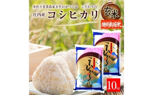 米作り専業農家８代目👨‍🌾が作るこだわりの 【玄米】特別栽培米コシヒカリ