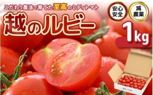 【至高の旨さ✨】安心安全！減農薬！こだわり農法🌱