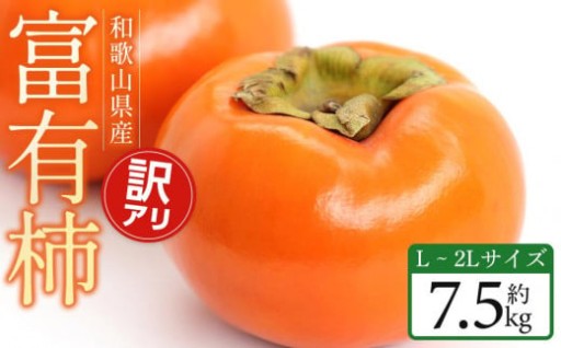 【2025年11月中旬～発送】和歌山県産 訳あり 富有柿 7.5kg L ~ 2L