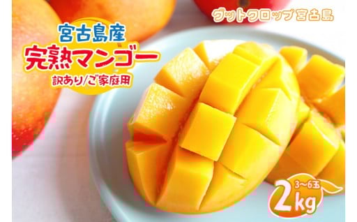 2026年発送　宮古島完熟マンゴー 家庭用2kg