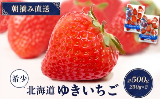 【受注後、随時発送！】【北海道産】ゆきいちご（紅ほっぺor恋みのり） ２Pセット 各250g×２
