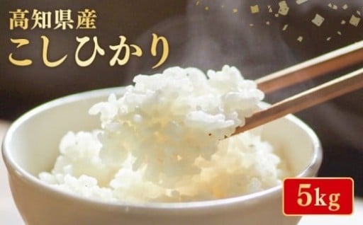 令和7年産！こしひかり5kg（高知県安芸市産）