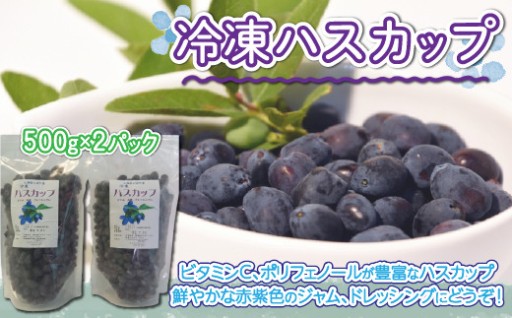 ＜数量限定！！＞大空町産冷凍ハスカップ