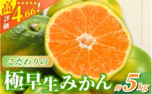 9月に食べられる！見た目と甘さのギャップが魅力💘