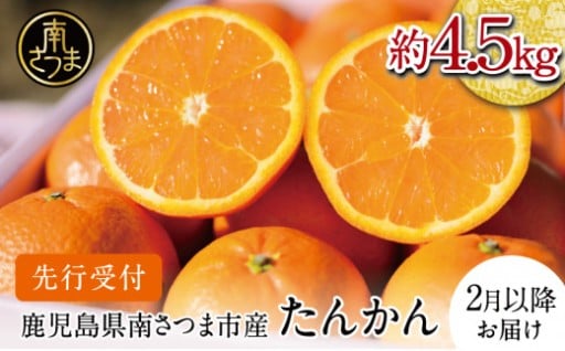 先行予約受付中！冬のご褒美・南国ブランドたんかん