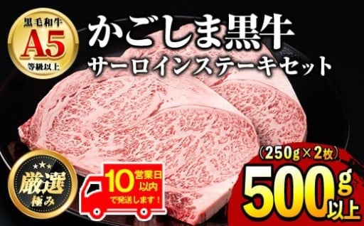 《10営業日以内に発送！》鹿児島県産黒毛和牛！A5等級サーロインステーキ(計500g・約250g×2枚)