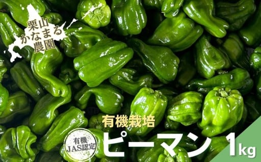 有機JAS認定！北海道産ピーマン1kg